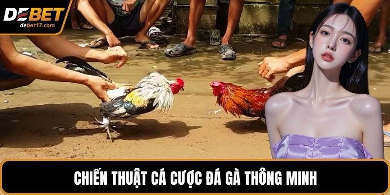Chiến thuật cá cược đá gà thông minh