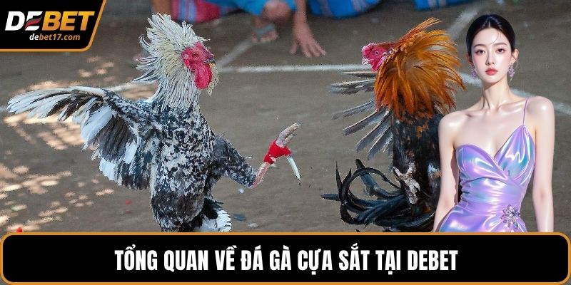 Tổng quan về đá gà cựa sắt tại DEBET