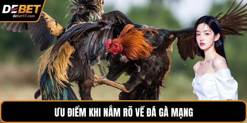 Ưu điểm khi nắm rõ về đá gà mạng